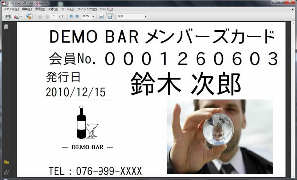 会員証のサンプル 会員証のサンプル